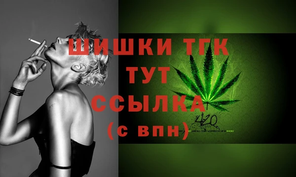 эйфоретик Богданович
