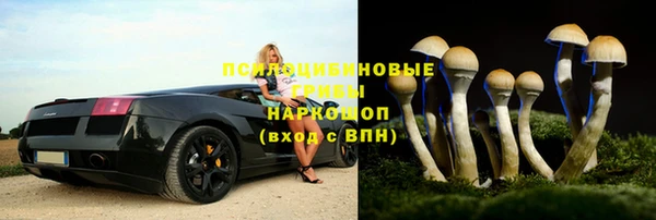 2c-b Богородицк