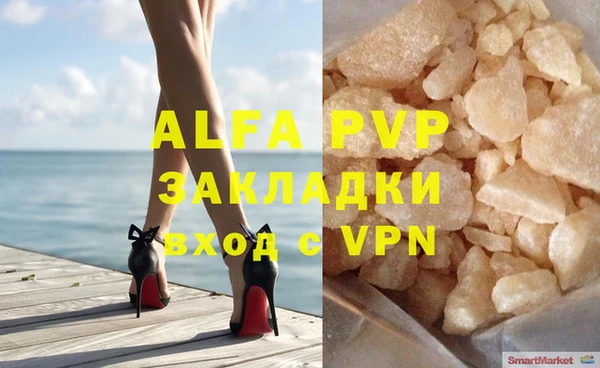 эйфоретик Богданович