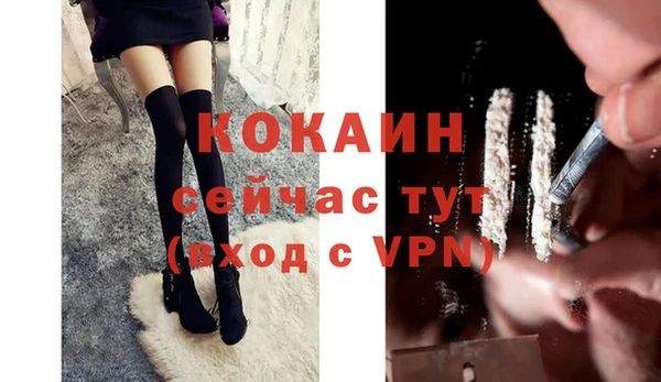 эйфоретик Богданович