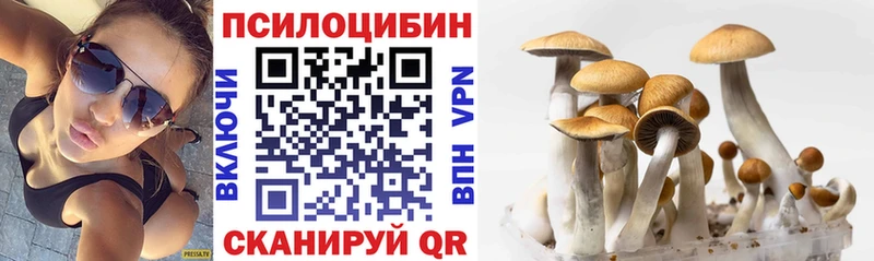 купить наркоту  Наро-Фоминск  darknet формула  Псилоцибиновые грибы Magic Shrooms 